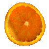 Un peu d'exotisme et fantaisie avec  un oranger, un mandarinier ou un citronnier